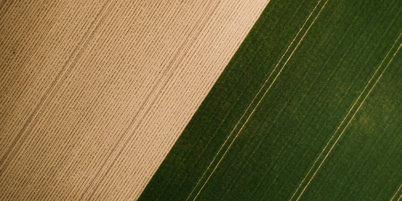 Double Licence Histoire Géographie Panthéon Sorbonne : Avantages