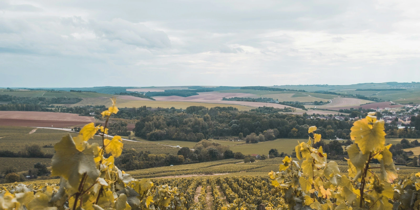 Hydrologie et Gestion des Ressources en Eau