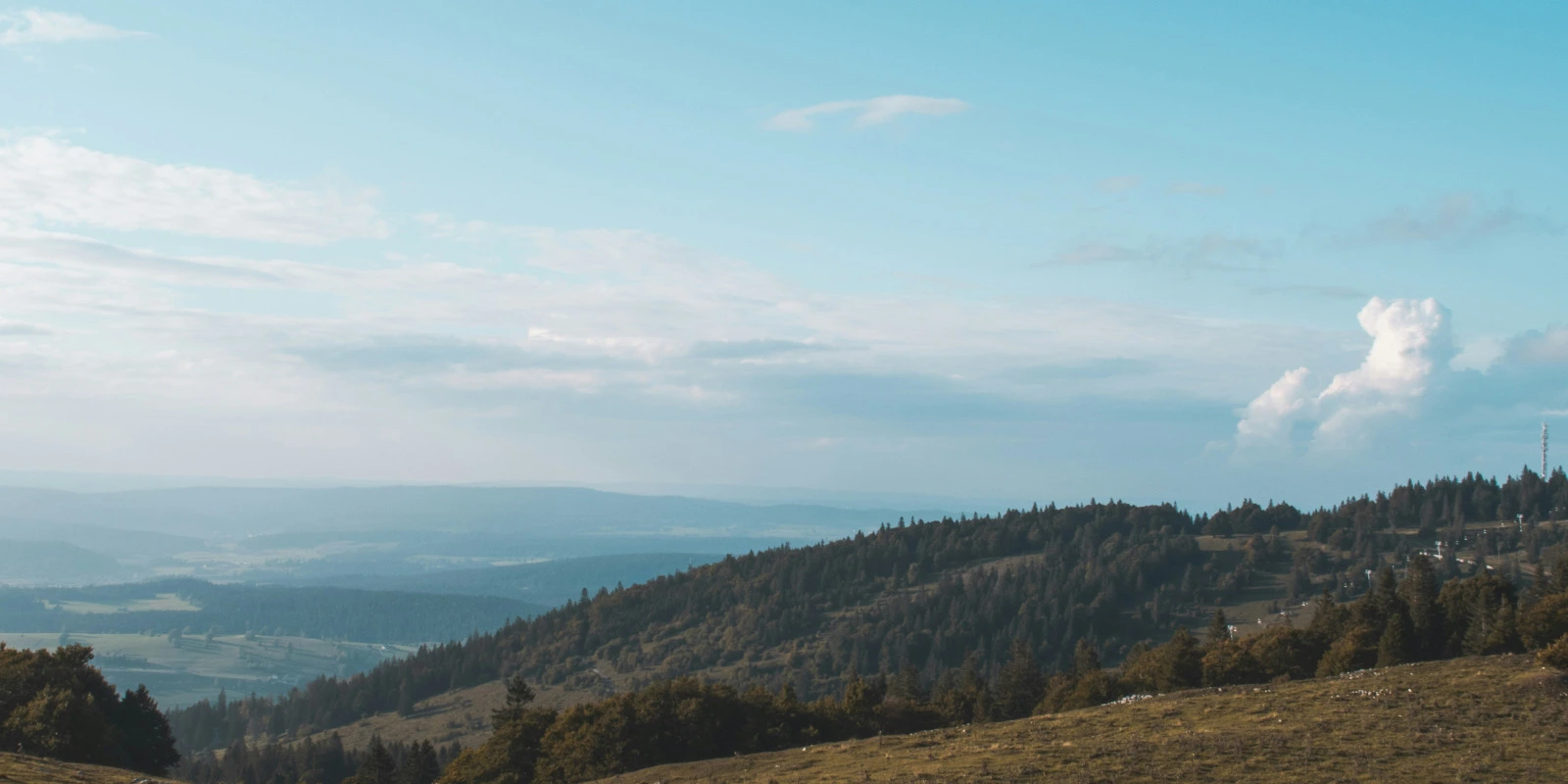 Lettre de Motivation Licence Géographie Aménagement : Guide Pratique