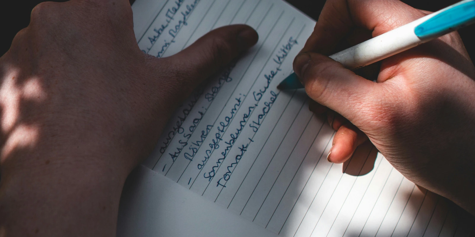 Licence Géographie Aménagement : Projets et Travaux Pratiques