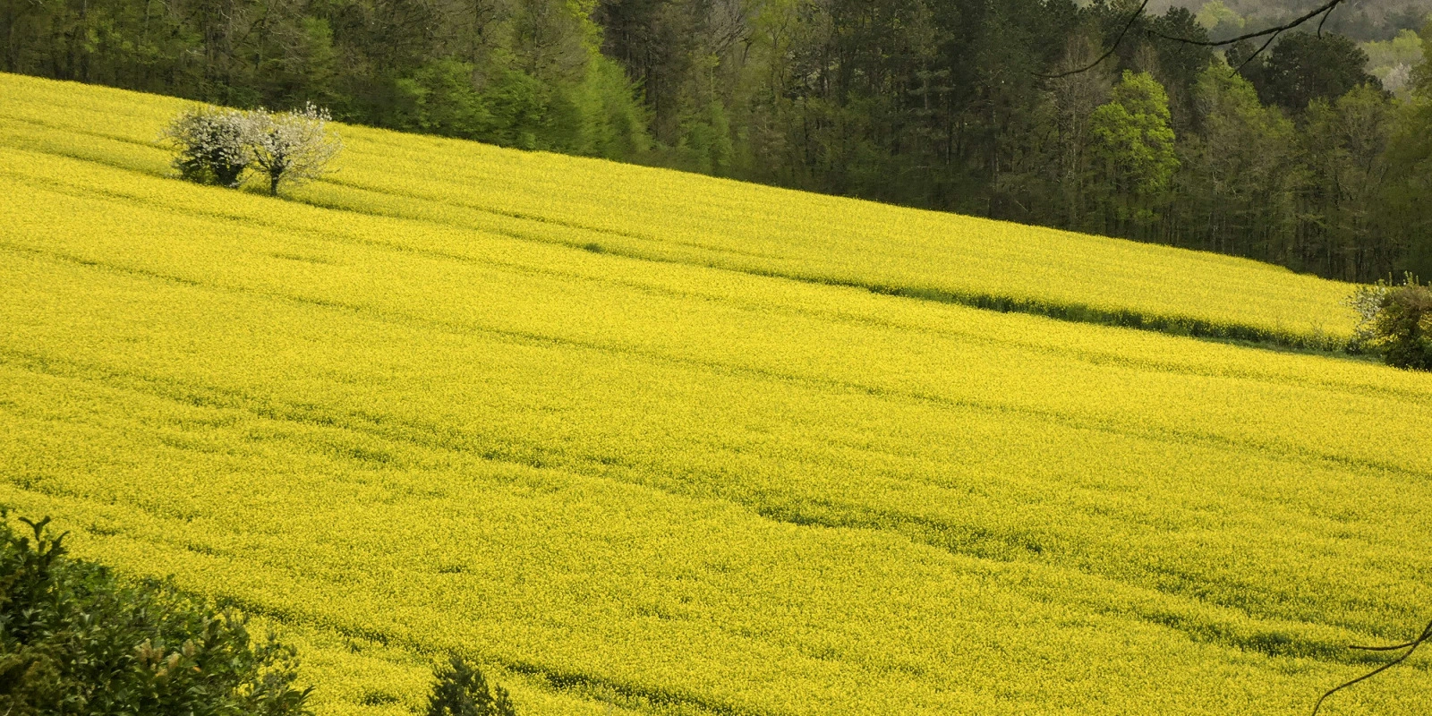 Master Apres Licence Géographie et Aménagement : Quels Choix?