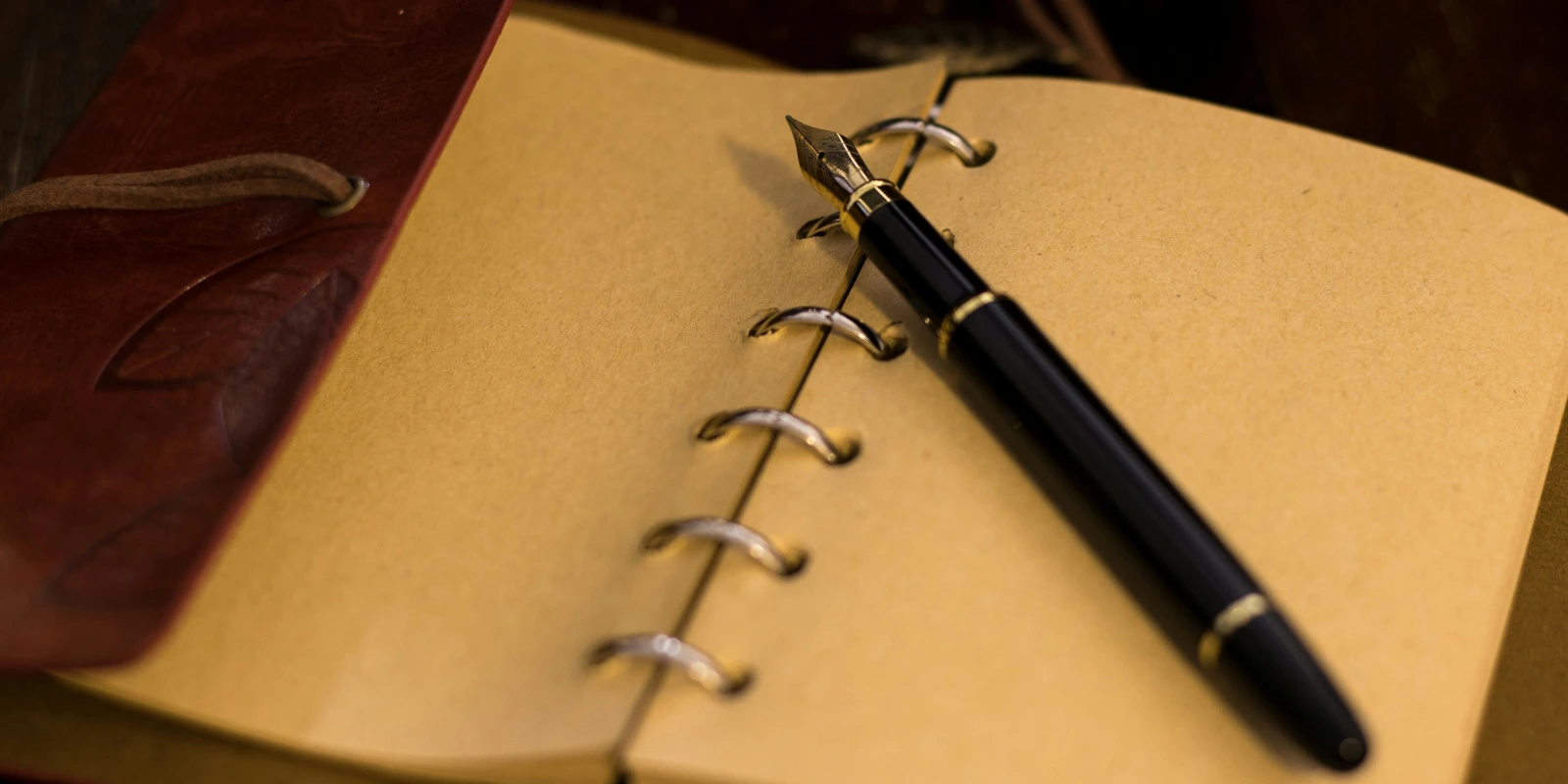 Métiers Après Licence Géographie et Aménagement : Exemples Concrets